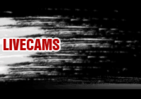 Zu den Bonus Livecams
